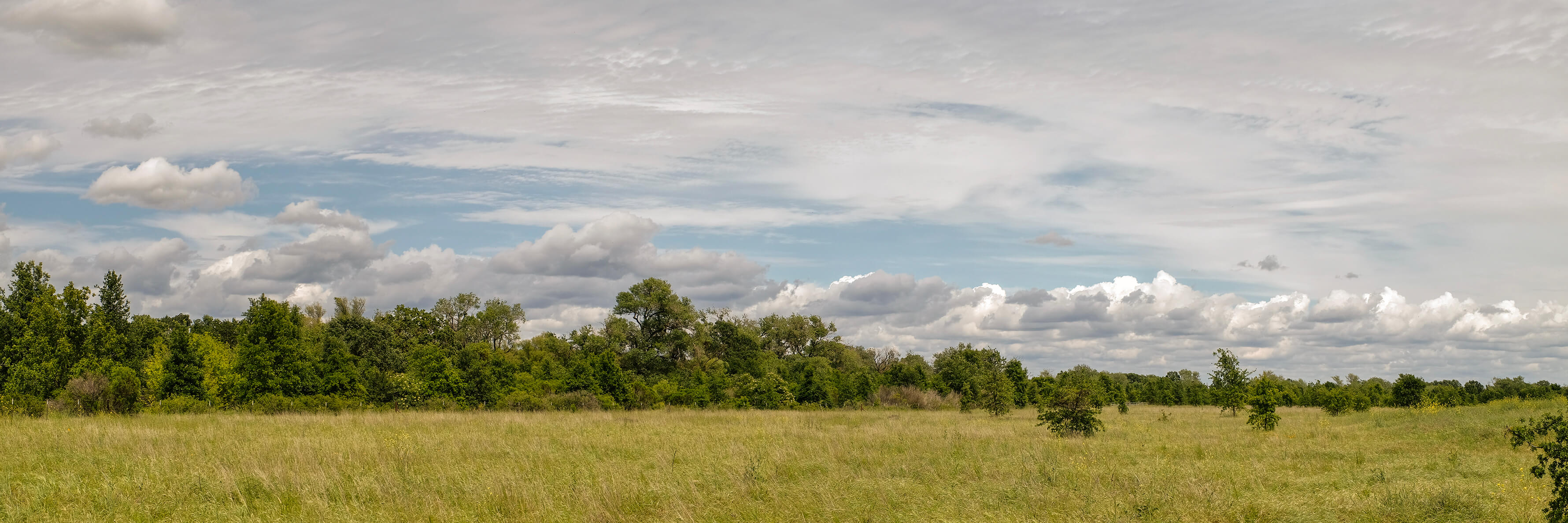 https://wp-calmatters.digitaldemocracy.org/wp-content/uploads/sites/2/2024/01/Elk-Grove-3560-CM.jpg