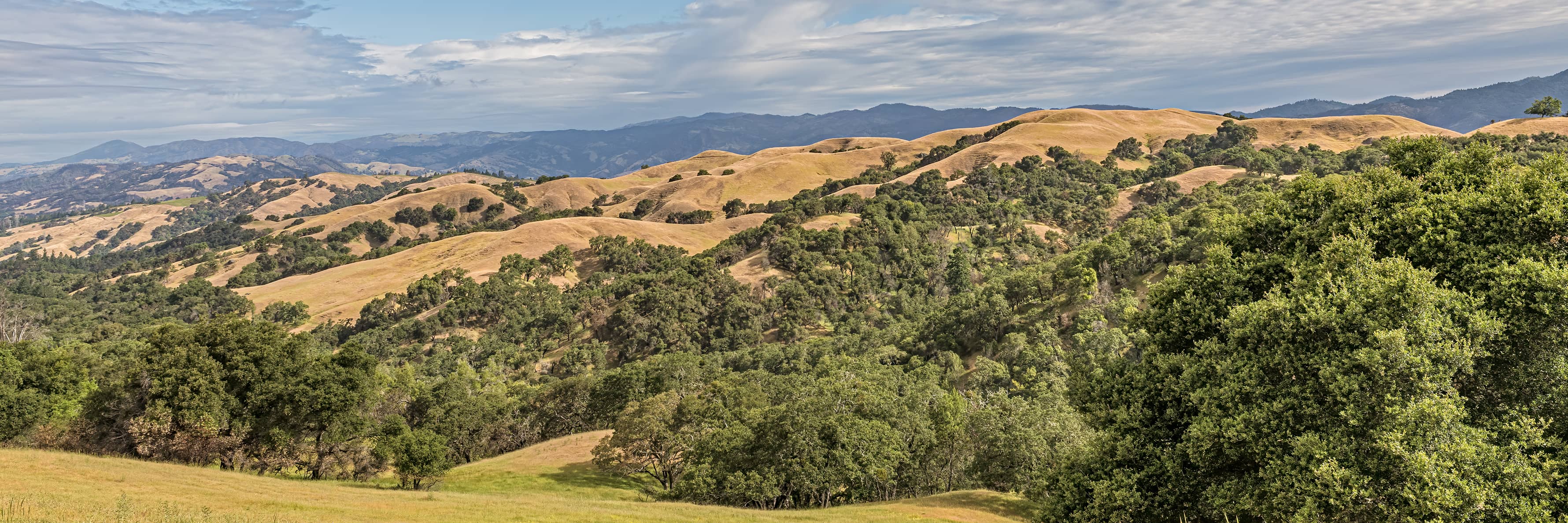 https://wp-calmatters.digitaldemocracy.org/wp-content/uploads/sites/2/2024/01/Santa-Rosa-3560-CM.jpg